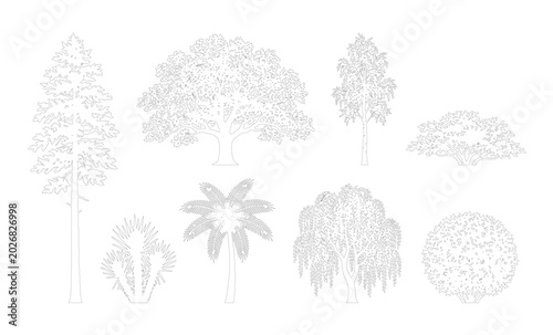 Billede på lærred CAD line art mixed tropical weeping willow and spiky exotic tree side view elevation set, outline broad and round bushy tree symbols for landscape design plans