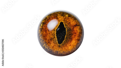 Fotografie Detailed reptilian amber eye with vertical pupil, isolated on transparent backgr