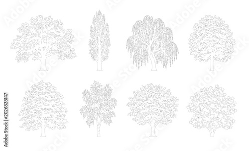 Bilde på lerret CAD line art large oak columnar poplar and weeping willow tree side view elevation set, outline broad and round bushy canopy tree symbols for landscape design plans