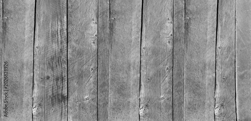 Schilderij op canvas Beautiful white wood texture natural patterns in retro concept