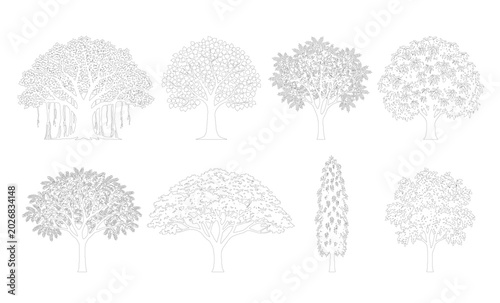 Vászonkép CAD line art mixed broad canopy and columnar tree side view elevation set, outline spreading bushy tree symbols for architectural landscape design plans
