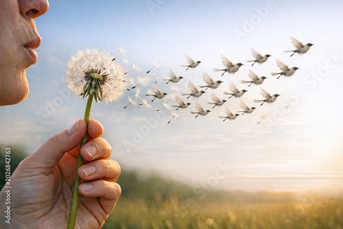 A woman gently blows a dandelion seed into the air, surrounded by greenery