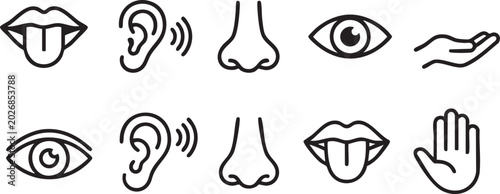 Quadro su tela Five human senses vector icon set minimal outline symbols for sight hearing smel