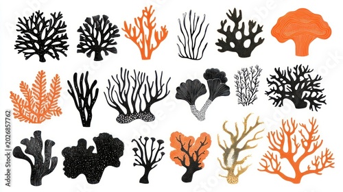 Colorful coral reef silhouettes