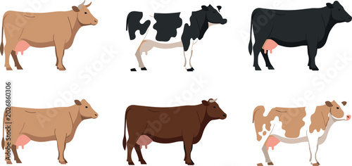 Foto PrintVector set of six stylized cows in different breeds, colors, and poses for