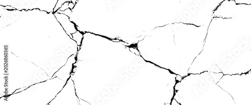 Bild auf Leinwand White surface with intricate black cracks and fissures creating a fractured patt