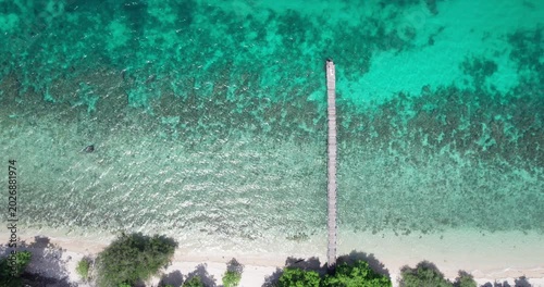 Drone top shot of Bali Menjangan island coastline blue green water. Indonesia