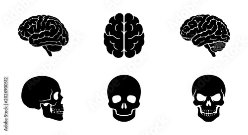 Tableau sur toile Brain and Skull Icons, Medical Anatomy Vector Graphics, Science and Health Symbo