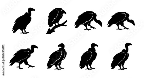 Canvastavla Vulture Silhouette Set, Bird Icon Collection, Wildlife Vector Graphics, Nature A