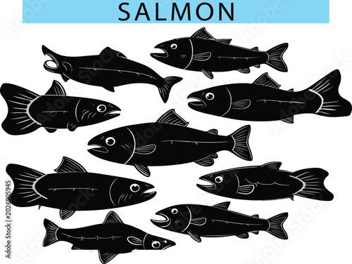 Cute Salmon vector graphics, Salmon silhouette drawing illustration