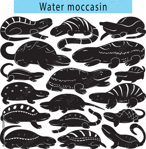 Fotografia Cute Water moccasin vector illustration, Water moccasin silhouette