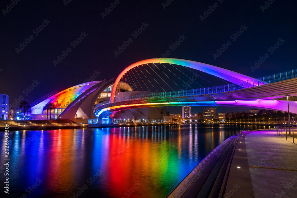 Fototapeta premium Modern arch bridge illuminated with beautiful rainbow neon LED lights reflecting on river water at night