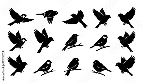 Photography Small Bird Silhouette Vector Collection Set of Flying and Perched Birds Minimal