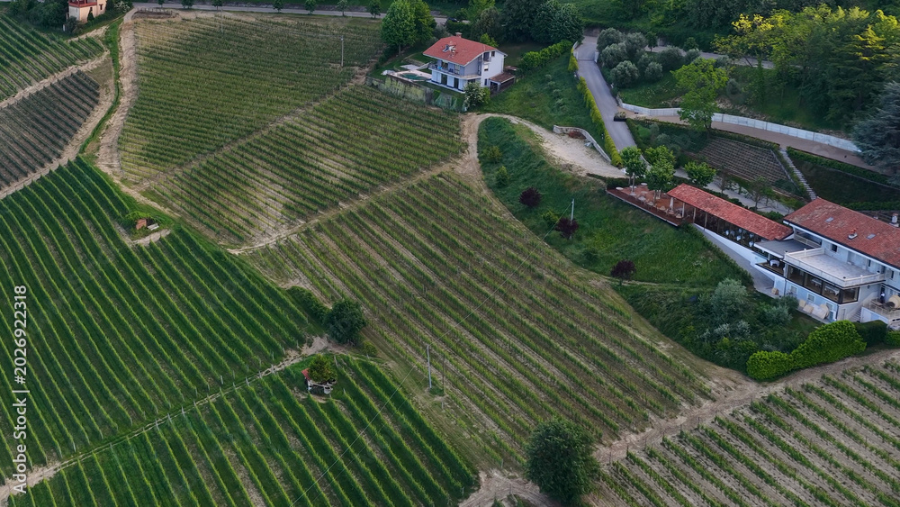 Fototapeta premium Aerial View of Rolling Vineyard Hills and Farmhouses in Piedmont Italy
