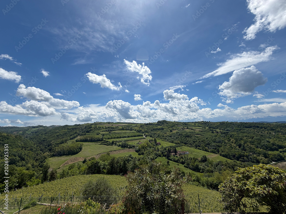 Fototapeta premium Panoramic View of Lush Vineyards and Hills in the Piedmont Region