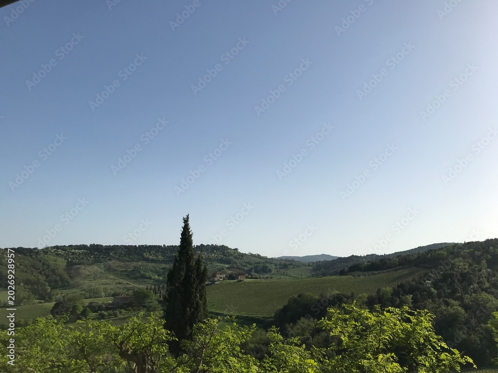 Fototapeta premium Rolling Green Hills and Cypress Trees in the Tuscany Countryside