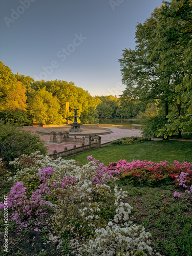 Bethesda Terrace and Fountain , early morning in spring