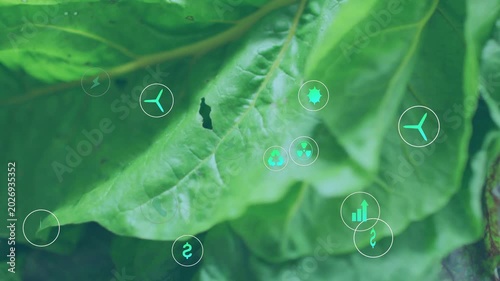 Plug icon appearing, eco icons clustering and cascading over leaf, visualizing energy and CO2 data
