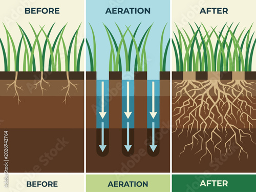Obraz na płótnie Infographic showing lawn aeration benefits with before and after comparison of grass root growth and soil structure for professional garden maintenance and landscaping
