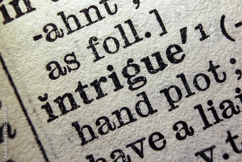 Canvas Print Word intrigue on dictionary page, macro close up