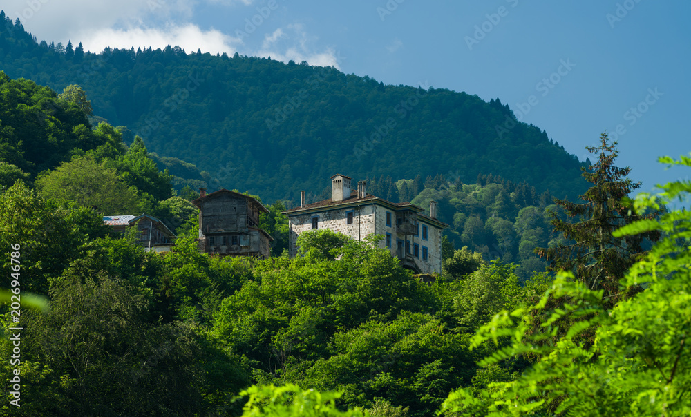 Fototapeta premium Traditional houses and tea terraces on the Black Sea coast, Rize city, Türkiye