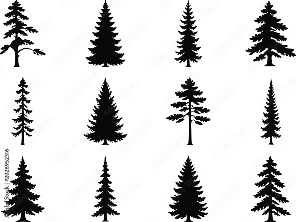Obraz premium Pine tree silhouette vector set, fir tree vintage forest nature evergreen collection illustration