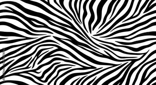 Seamless Black and White Zebra Stripe Pattern, Abstract Animal Skin Texture Background