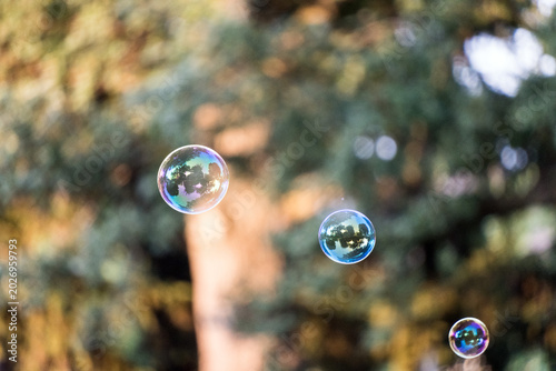 Bubbles floating in the air