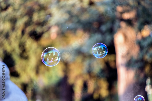 Bubbles floating in the air