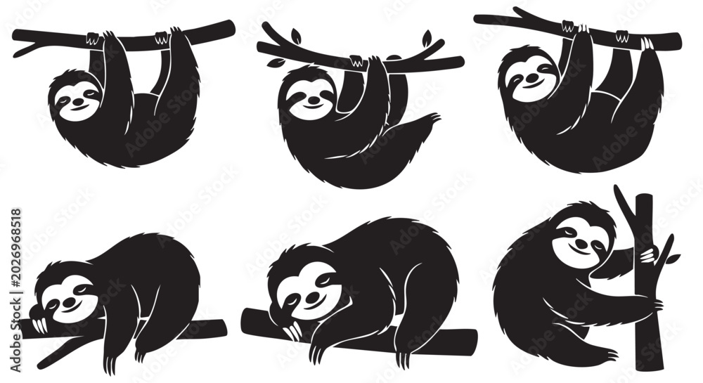 Fototapeta premium Sloth hanging and resting on tree branches