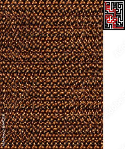 Canvas Print Optical illusion stereogram with hidden 3D shape of a medium-difficulty maze 2480x3586