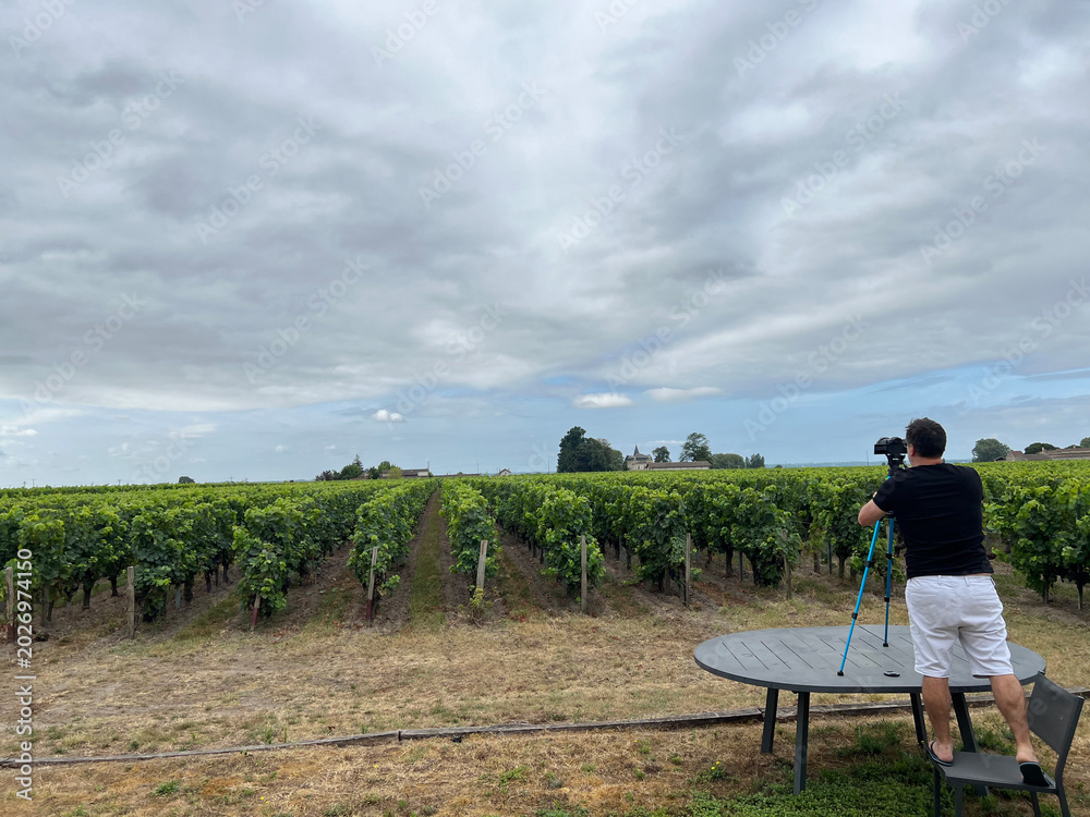 Fototapeta premium Man using a tripod to photograph rows of grapevines in Bordeaux