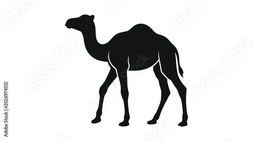 Photography black camel silhouette against a white background silhouette