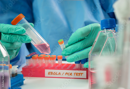 A scientist examines an Ebola virus PCR test in a laboratory
