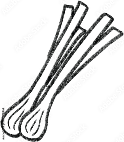 Hand drawn green onion line art
