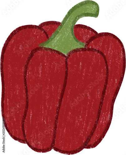 Hand drawn red pepper cute illustration