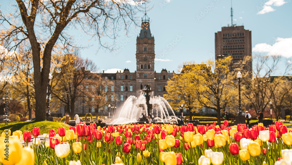 Obraz premium Quebec City Fountain of Tourny Parliament with tulip bed in the foreground