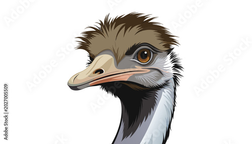 Fotografie Ostriche bird head clipart vector illustration