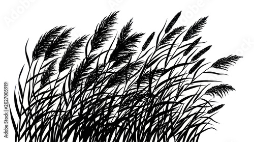 Cuadro en lienzo Reed Silhouette Vector Illustration