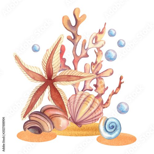 Fotografie Starfish with shells and corals, isolated