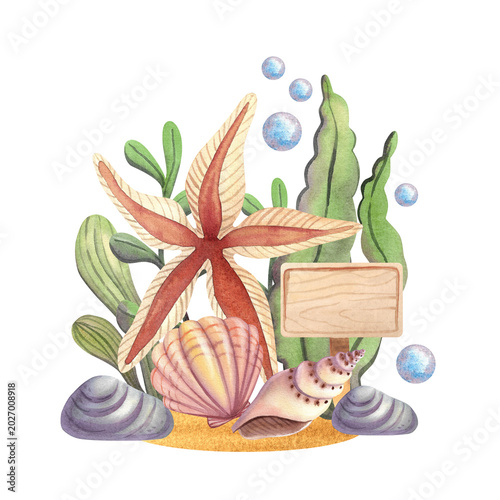 Bild auf Leinwand Starfish with shells and green algae, isolated