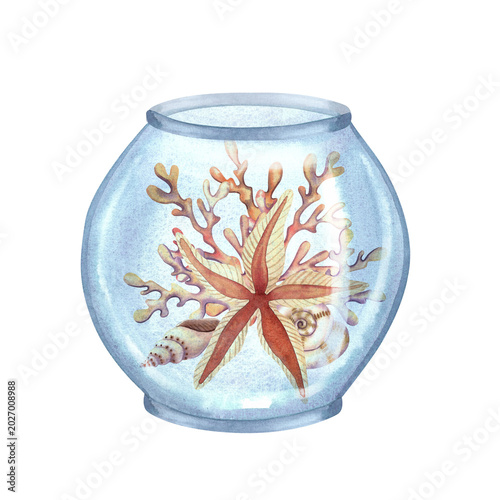 Bild auf Leinwand Glass aquarium with seaweed shells and starfish, isolated