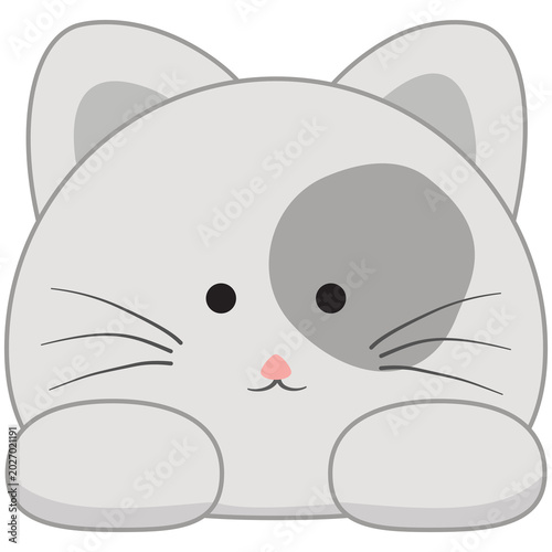 A cute, cartoonish gray cat with big eyes and a distinctive gray patch on its face, peeking out from the bottom of the frame with its paws visible.