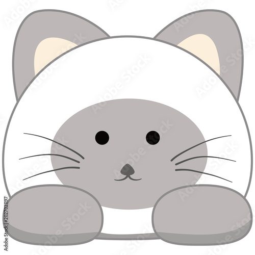 A cute, illustrated cat peeks out, its large, round eyes and delicate whiskers conveying an innocent curiosity. The simple, graphic style makes this a charming representation.