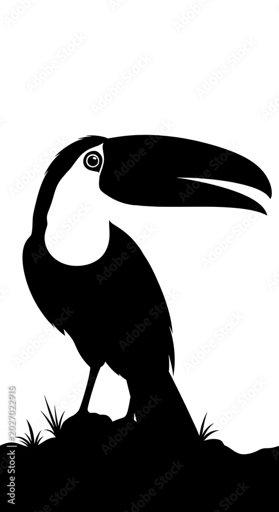 Fototapeta premium Toucan bird silhouette black white illustration.