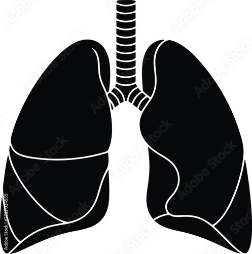 Tableau sur toile Human Lungs Anatomy Silhouette Medical Illustration.