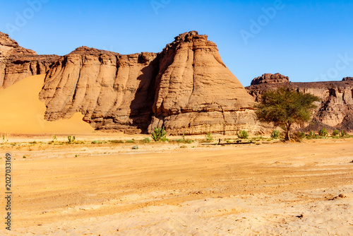 Bilde på lerret Sahara landscape