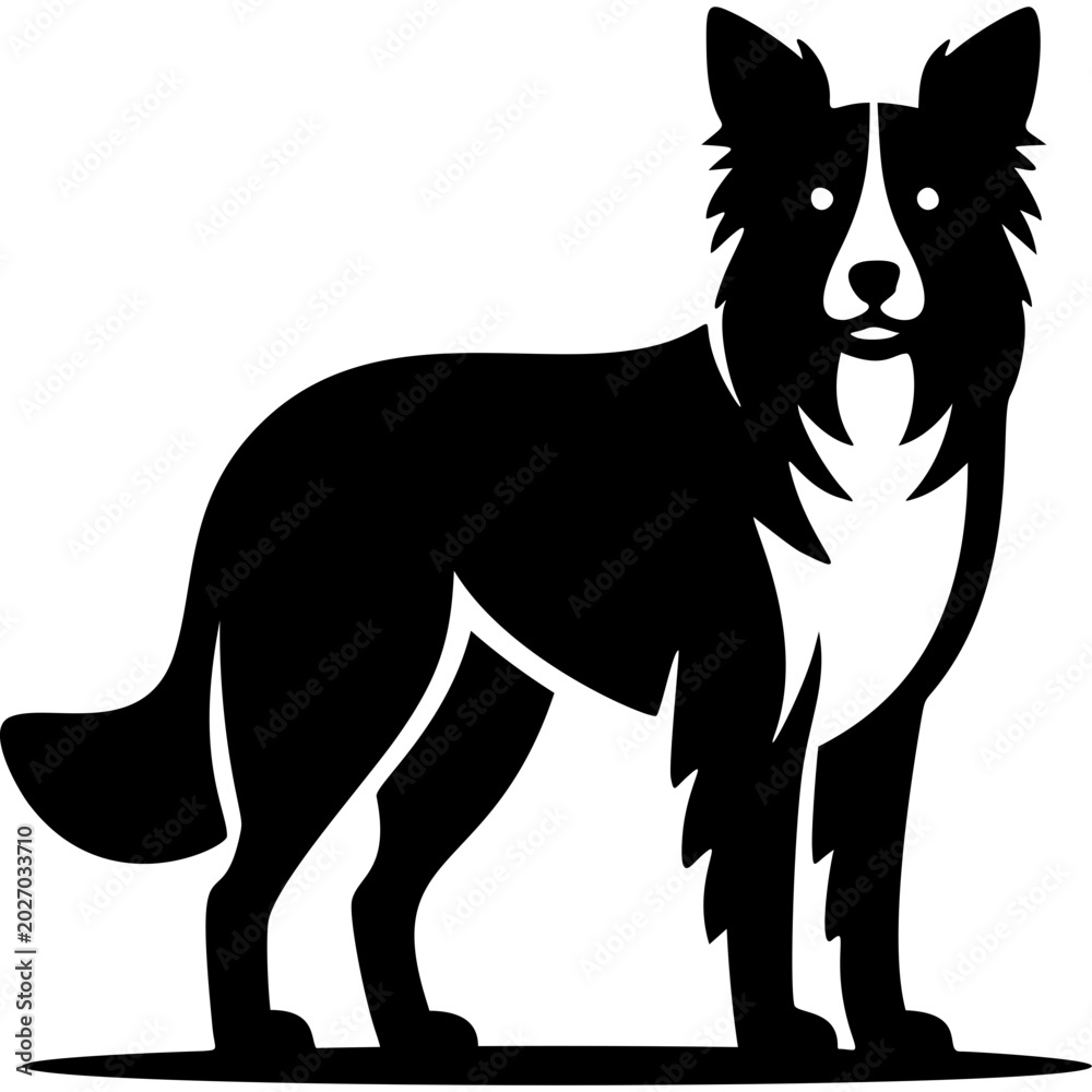 Fototapeta premium Border Collie Vector Icon