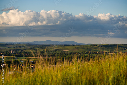 Blick vom Adelberg zum Großen Feldberg, Aulheimer Tal (Flonheim) Mai 2026