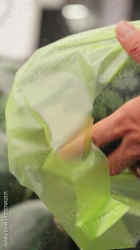 Market Fruit Packing. Hands Swiftly Place Watermelon Into Bag During Busy Market Hours. Customer Rapidly Packs Fresh Watermelon Into Colorful Plastic Bag Amidst Bustling Market Activity